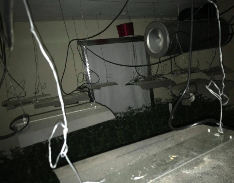 Other image for Cannabis worth half a million is seized from former town centre bar